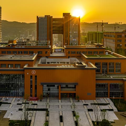 技师学院（技师学院，培养高技能人才的摇篮）