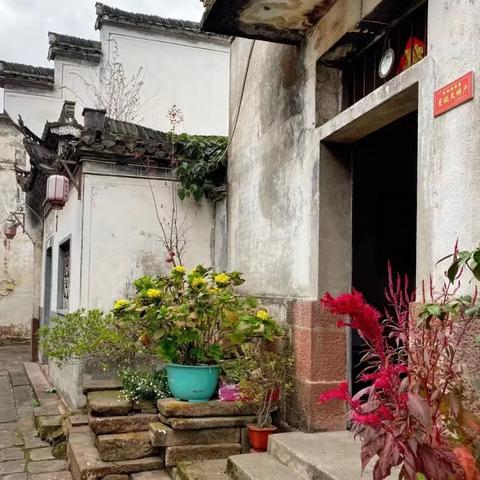 中等职业教育（中等职业教育，培养实用人才的摇篮）