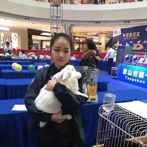 职教（职教，塑造未来的关键力量）