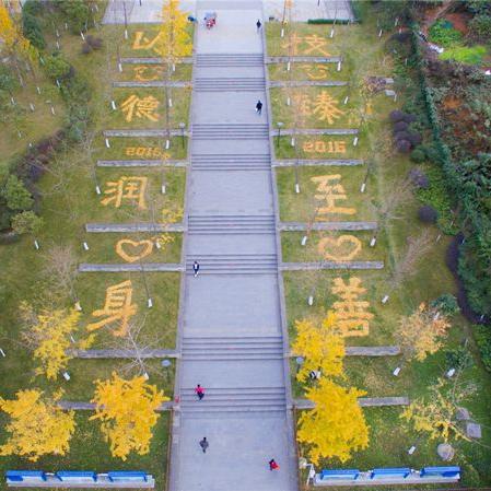 中职和高职的区别（中职与高职，教育的差异与选择的重要性）