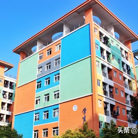 技校（技校，培育实用技能的摇篮）