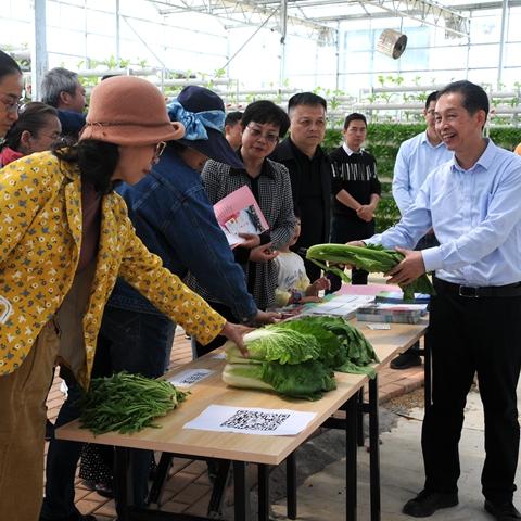 广西现代职业技术学院（广西现代职业技术学院，培养新时代技术人才的摇篮）