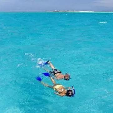 学校（学校，知识的海洋，成长的摇篮）