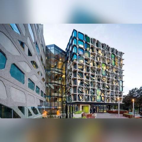 bachelor of management（探索管理学士学位，培养未来商业领袖的路径）