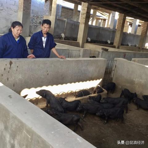 重点产业领域专业目录（重点产业领域专业目录的发展与重要性）