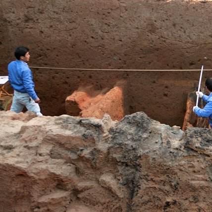 专业查询（专业查询，深度挖掘信息的力量）