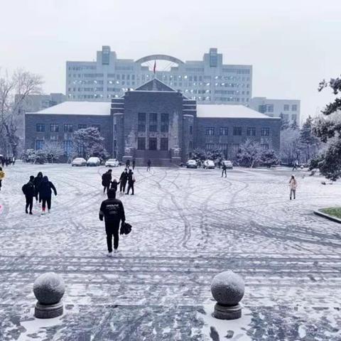 东北大学地址（东北大学的地理位置及其周边概述）