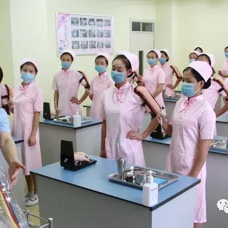 高职和大专的区别（高职与大专，教育路径的不同之处）