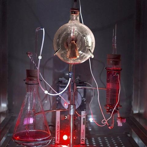 生物工程专业代码（生物工程专业代码，探索生命科学的数字化语言）