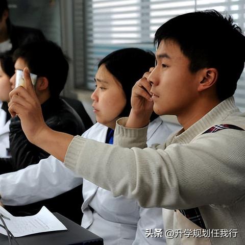 大学专业代码查询（大学专业代码查询，方法与重要性解析）