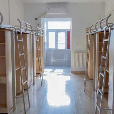 本科专业代码查询（本科专业代码查询，方法与步骤详解）