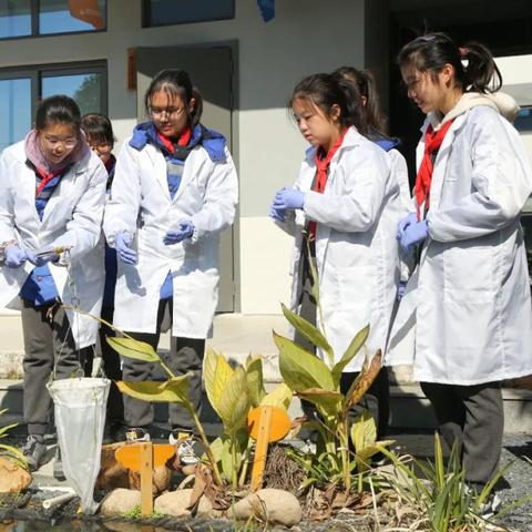 教师 资格 证 报考 官网 嘉定 区 上海 市（关于上海市嘉定区教师资格考试报考官网的介绍）