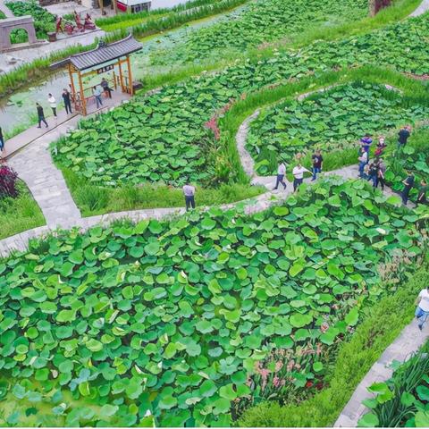 招生考试（招生考试，探索未来的关键路径）